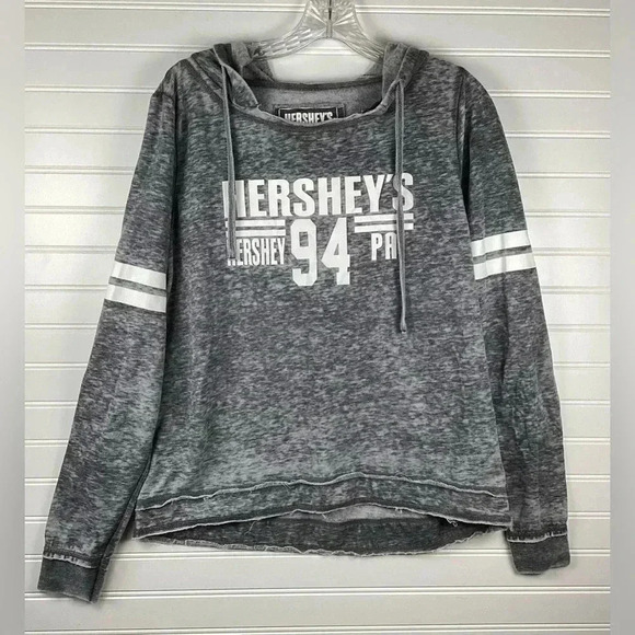 Hershey park Gray Hooded sweatshirt Size Large - Picture 1 of 6